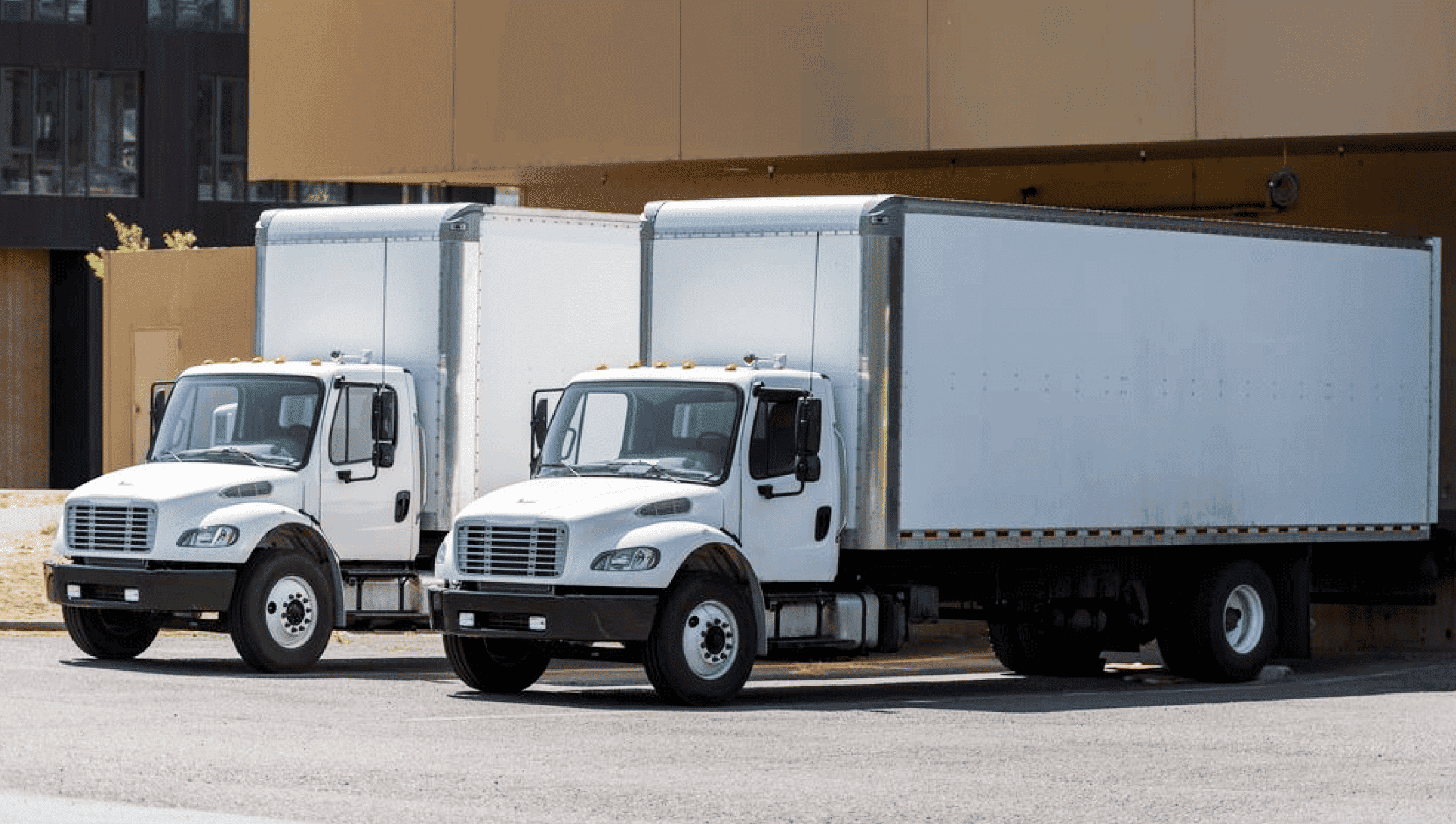 Local Freight Trucking and Its Specific Insurance Needs