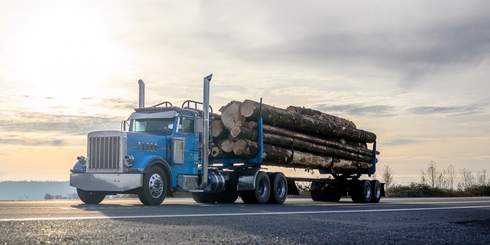 Logging Trucking Insurance Helps You Get the Right Policy at the Best Price