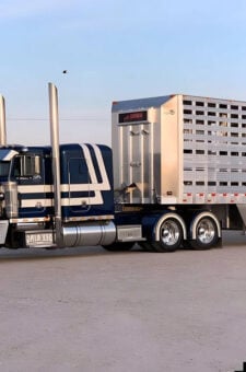 Livestock truck insurance
