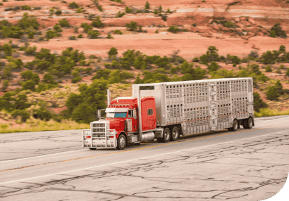 Livestock truck insurance